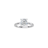 4 Prong Cushion Cut Classic Ring WG