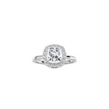 Cushion Cut Halo Engagement Ring WG