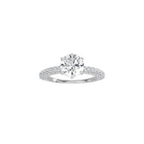 Round Diamond Triple Row Pavé Band WG